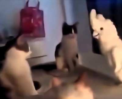 rsrtdhcvukvjvjobhcfxrsh