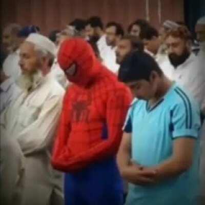 No more Pegasus anime girl