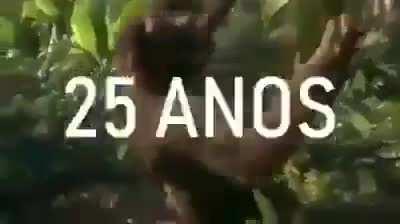 Devolve meu filho sua puta 😡😡😡😡