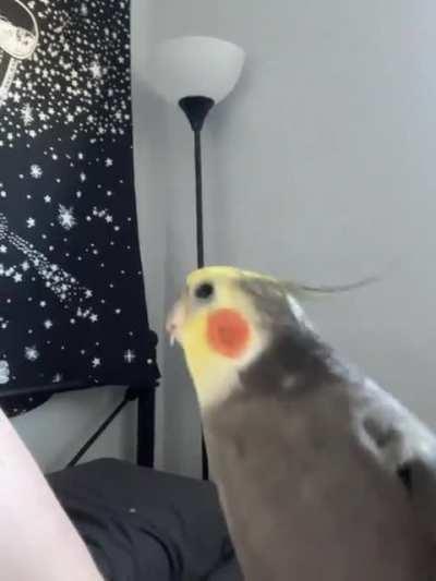 Here’s my Groot rocking out to his fave song