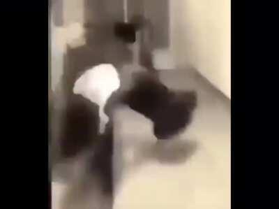 *talks in Brazil epicly*