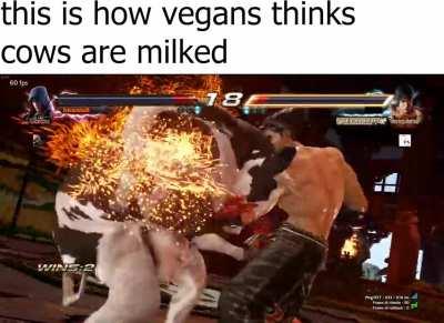 tekken mods are breaking me