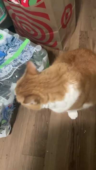 Discussing lunch with Selena (she is lying)...