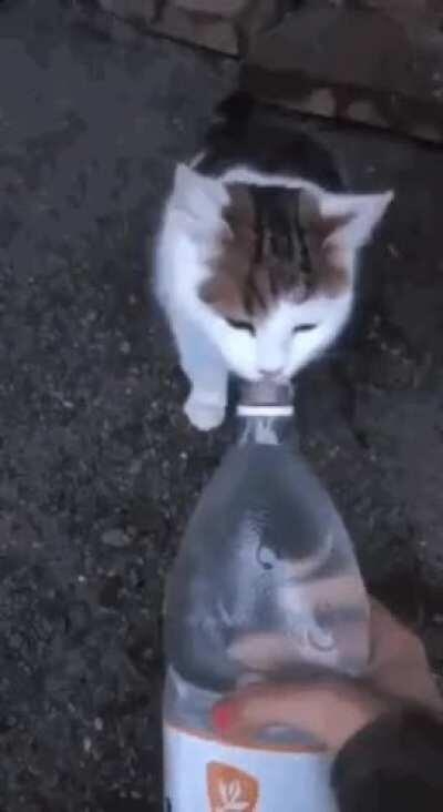 Cuando no le avisas que ya vas a terminar