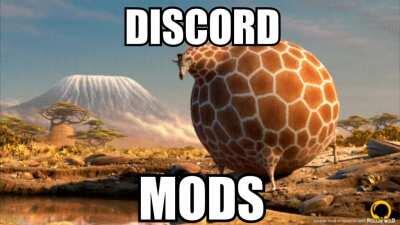 discord mods