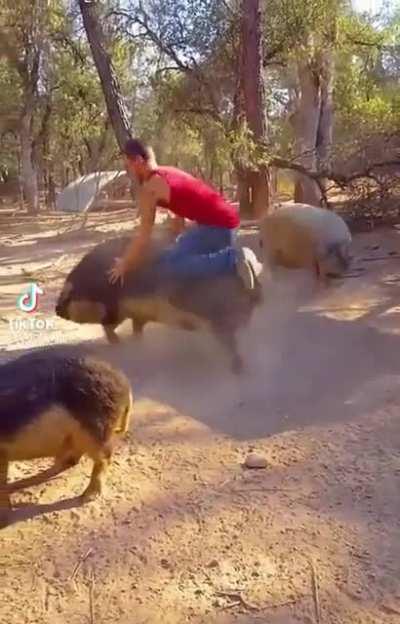 Sweet home, Alabama.