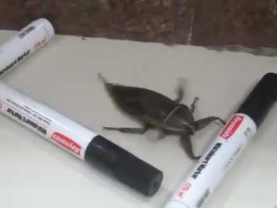 It flies when you less expect