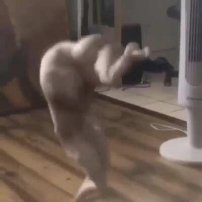 I play ONE Carti song to Gerald and now he doesn't obey any of my rules 🤬🤬