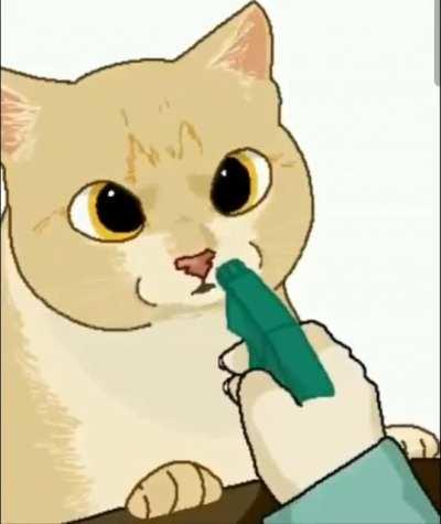 HOW DARE YOU CHALLENGE ME HUMAN