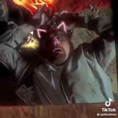 hey pink. another breaking bad tktok for u