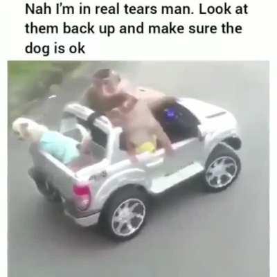 Ape Driving Accident