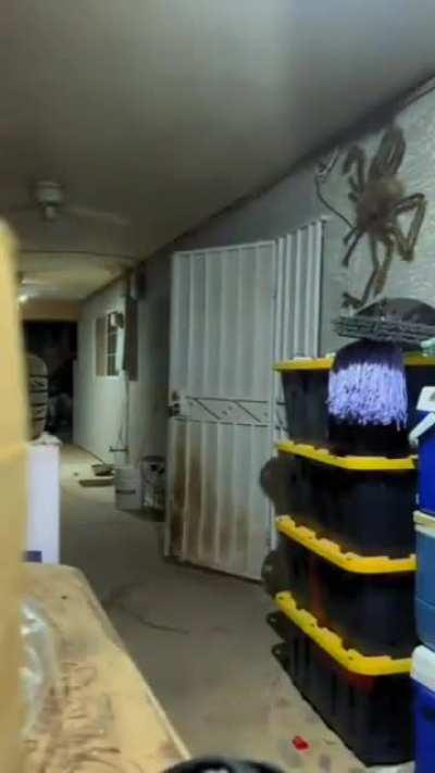 Ni modo, toca incinerar el hogar...