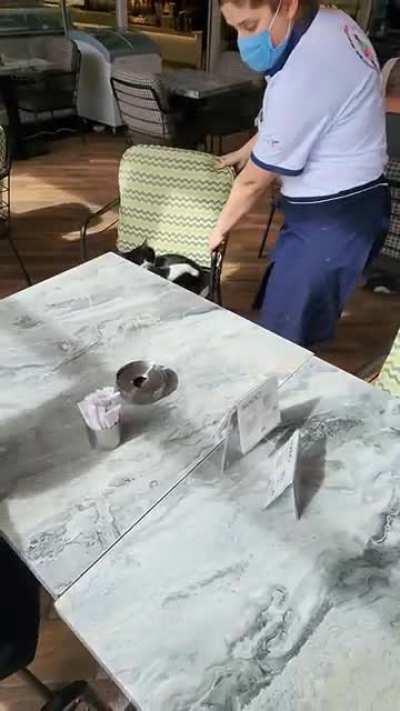 Went to a restaurant in Turkey. Offered my friend a chair to find this stray sleeping in the chair. Asked a waitress to handle this situation. This was her 