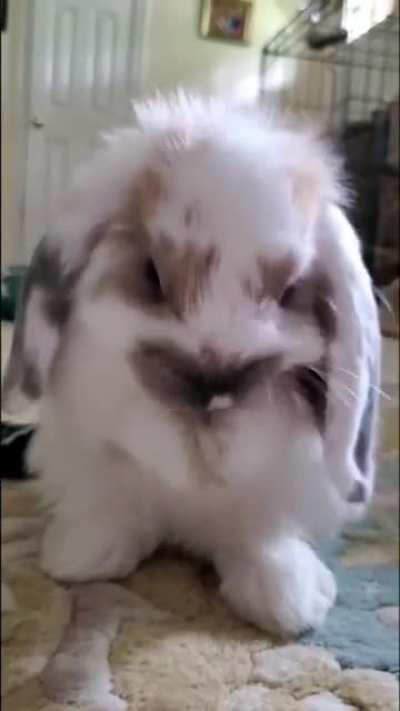 Cleaning my cute face