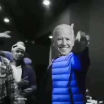 💎🐊💎🐊💎🐊