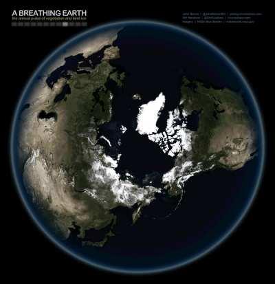 Heartbeats on heartbeats.