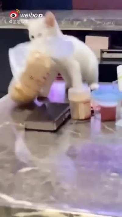 Hopefully he has some privacy in the trashcan