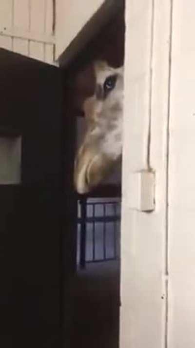 Добрый вечер