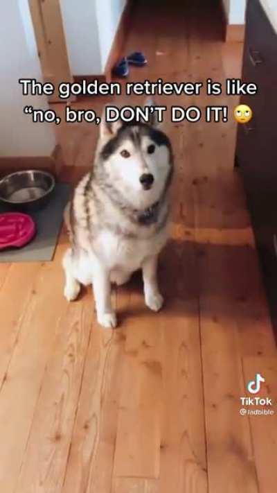 NOOOOOOOOOOOOOO PIANO MAN