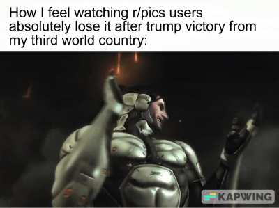 Americans never fail to entertain