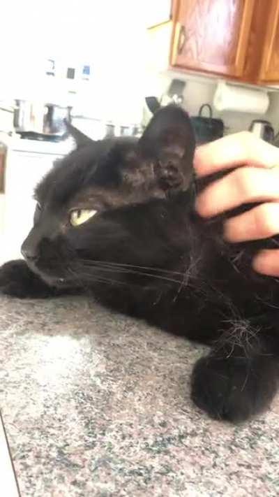 Tooth hanging out, eyes rolling back kinda massage. Merry Christmas from Neeko!