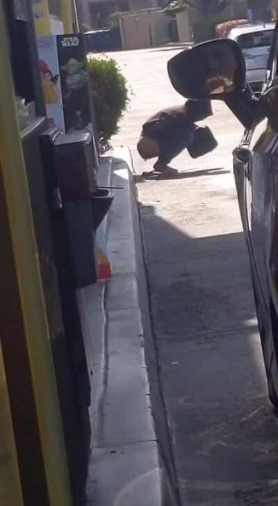 Came for a McDouble and left with a McDooDoo