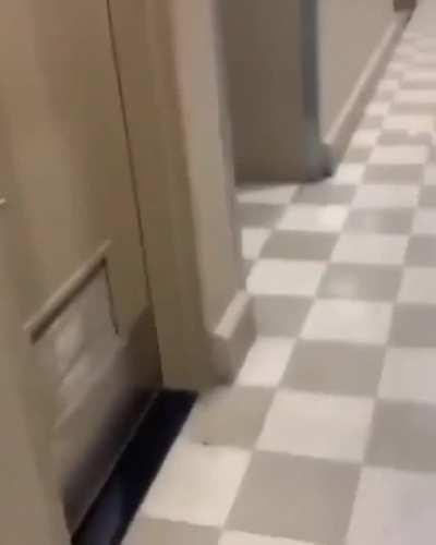 finally a 🚽 fo' real 💯 niggas 👨🏿‍🦲👀