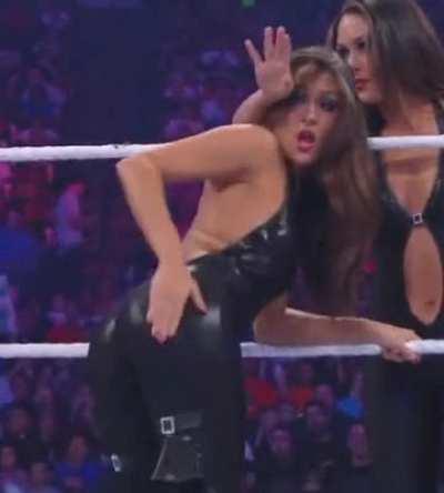 The Bella Twins knew what we want
