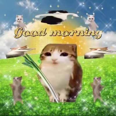 The only acceptable good morning whatsapp message