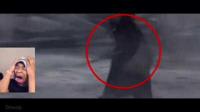 21st Century Memes But its Execute Order 66