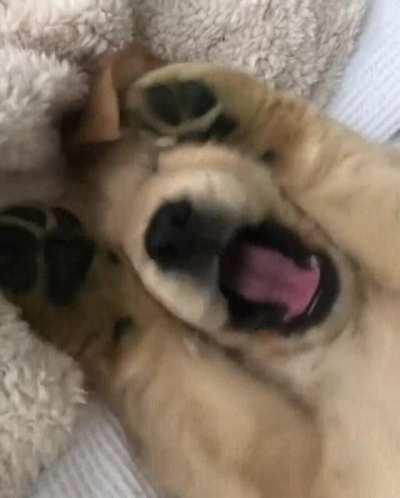 When you tell him that you love him.