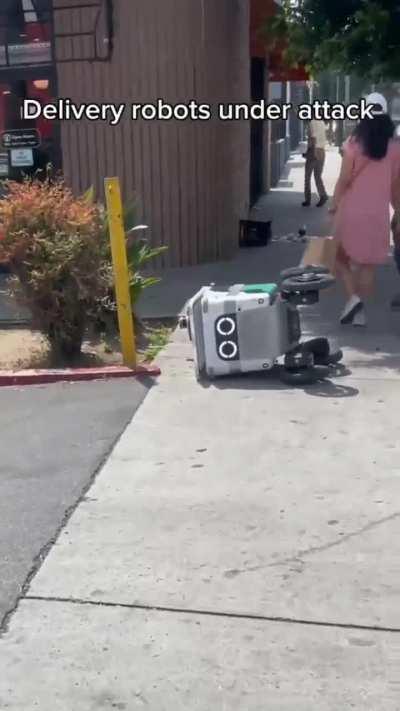 About those robots....