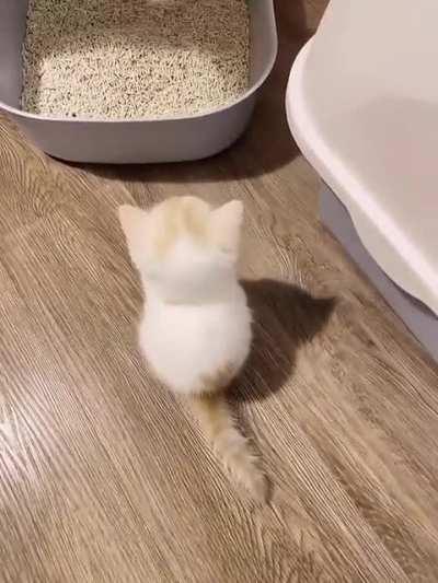 Post by u/Historical_Ad3474 in r/aww