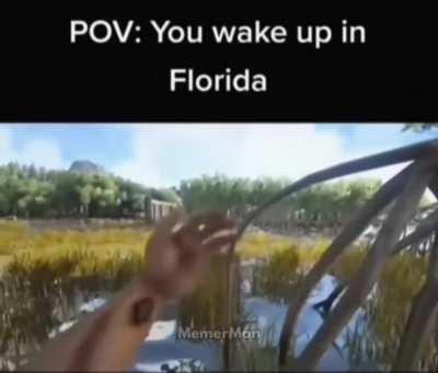 Average day in Florida