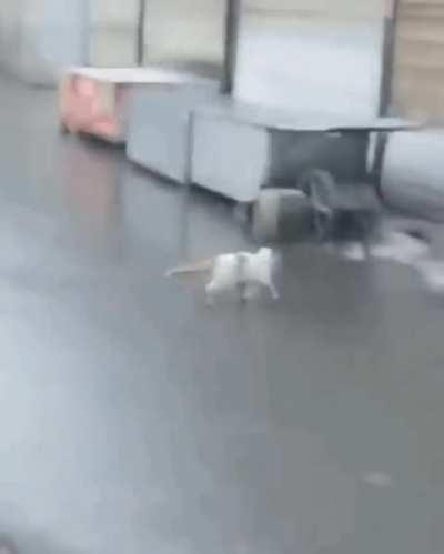 like nothing happened