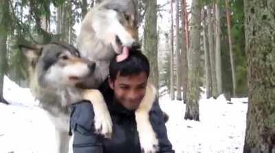 [x-post]BlOoDthiRsTY wOLveS eAt PoOr MaN aLiVe