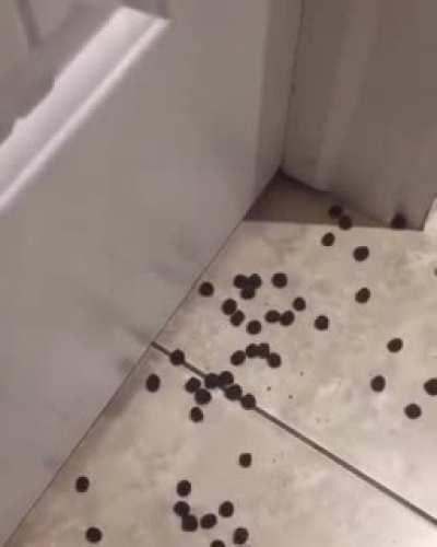 Improvise and overcome...