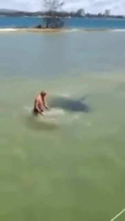 Jumping on A giant stingray