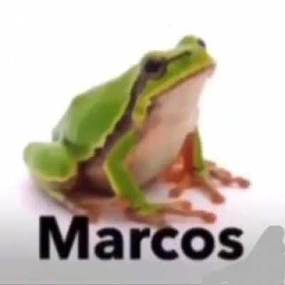 Marcos