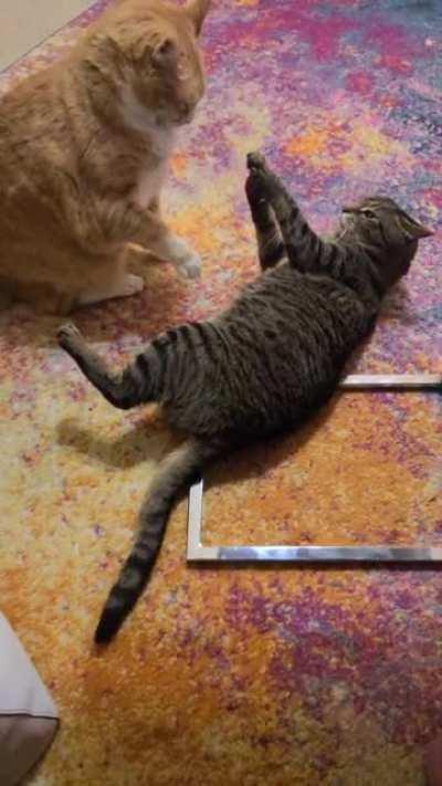 He knows the consequences but goes for it anyway