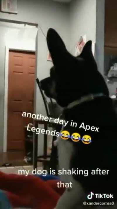 Dog Vs revenant. Credit to Goldie1013 via Imgur