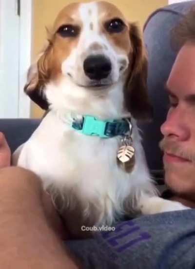 How that dog smiles