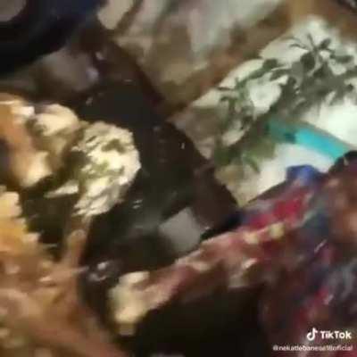 That's a fu****g abuse