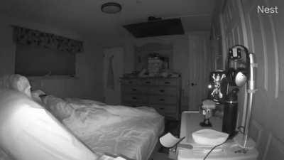 Can anybody explain this strange “whooshing” sound that causes my iPad Pro to go crazy? (At first of clip, turn up sound)Because of stuff we have captured on our cameras while we sleep, I have been activating cameras while we are gone to see what I catch.