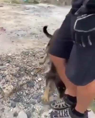 This makes me so happy to see! I also love how thankful he is ❤