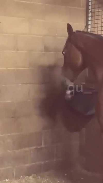 You spin my head right round, right round