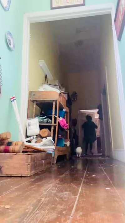 The Great Treat Chase!