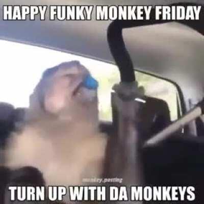 Turn it up wit da monkeys🐵🍭🤪🥳🥴