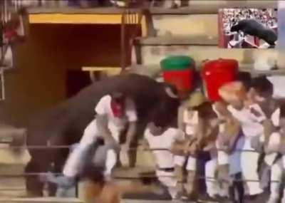 The bull interacted with the audience