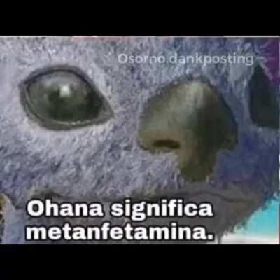 SIGNIFICADO DE OHANA😱